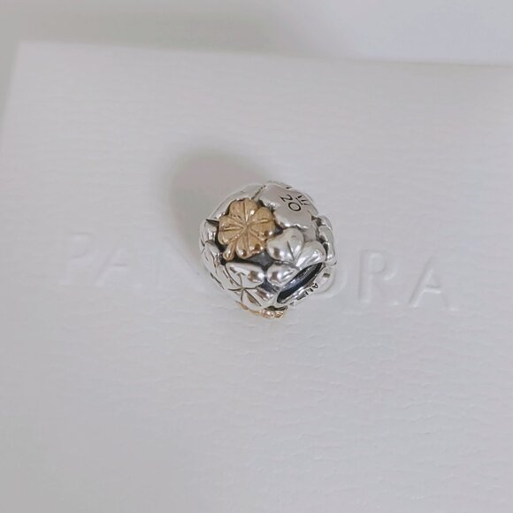 Pandora 2020 Limited Edition Four-leaf Clover Charm S925 Silver with box - Picture 8 of 8